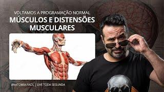 AO VIVO: MÚSCULOS E DISTENSÕES MUSCULARES