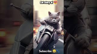 ginger cat story|cat is angry and she died#cat #catstory #kitten #catsound