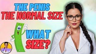 THE PENIS THE NORMAL SIZE