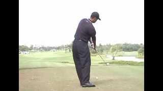 Tiger Woods 3w 2000 DL High Draw