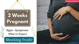 2 Weeks Pregnant | Signs , Symptoms - What to Expect | Pregnancy Week by Week