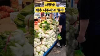 사장님! 배추 다주세요! 대박! #폭락 #vegetables #배추 #맛집 #김치 #먹방