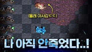 38분동안 뚜드려맞고 몰래 살아남은 인피쉰ㅋㅋ 남은건 해처리 1개뿐 [ 스타, 빨무 ]