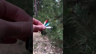 Эти тейл-спиннеры сделали мне много рыбалок! #поймалотпусти #рыбалка #спиннинг