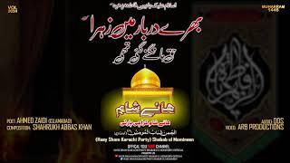 PROMO NEW NOHA 2024 | on Shahadat of BIBI PAK FATIMA ZAHRA (s.a) | Karachi Party Shabab ul Momineen.