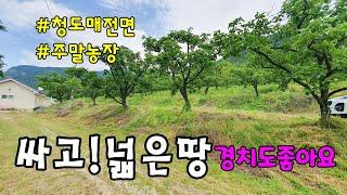 No.773 싸고 넓은땅 청도 매전면 장연리 강조망 청도토지매매 #밀양촌집매매 #밀양전원주택매매 #청도부동산