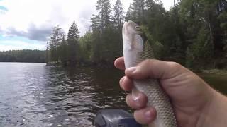 north of 7 outdoors 45 minute panfish slam