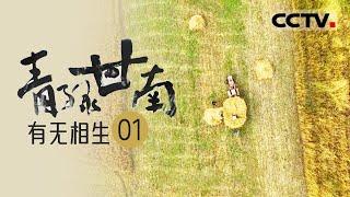 《青绿甘南》EP01  回溯甘南的生态之殇和切肤之痛 “还债、反思、弥补、自省” 这使得甘南的生态系统得以重塑——有无相生【CCTV纪录】