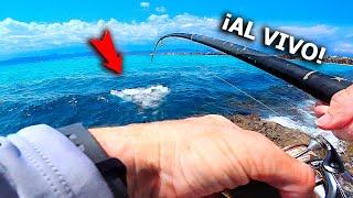 ¡¡PESCA al VIVO desde COSTA!! Los PALOMETONES están AQUÍ... Me volví l0c0 por las rocas...