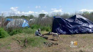 Antioch Plans to Clear Homeless Encampment