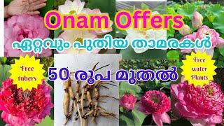 Onam offer sale video @Petalssphere SOLD OUT