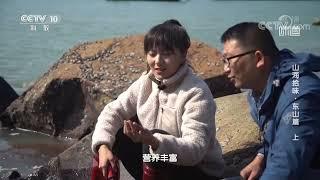 味道调查员体验在礁石上铲“小鲍鱼”《味道》20221210 | 美食中国 Tasty China