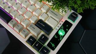 Dieses Keyboard ist INSANE für diesen Preis! - Beste 75% Tastatur für 80€? - Yunzii YZ75 Review