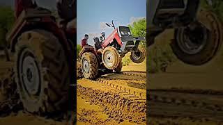 #tatar #tatarvideo #shorts #viral #massey #masseyvideo #masseylover #jat #jaat #jaat jamidar