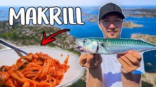 Catch & Cook Mackerel - SWEDISH SEA FISHING | Team Galant