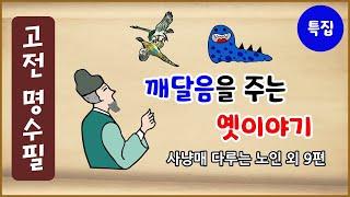 깨달음을 주는 옛이야기 10편 모음 [고전 명수필 특집 2차] 수면용 [중간광고 없음][모아보기][에피소드박스]