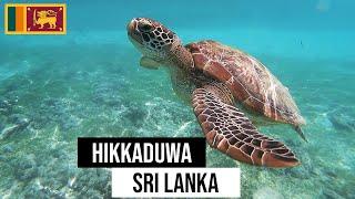 Hikkaduwa Sri Lanka | Sunnysl Travels