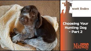 Choosing a Hunting Dog part 2 | Scott Linden