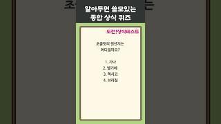초콜릿의 원산지는 어디일까요? 매일 1분 상식 퀴즈 59편 #상식 #퀴즈 #상식퀴즈 #지식테스트 #상식테스트 #지식 #공부 #술게임