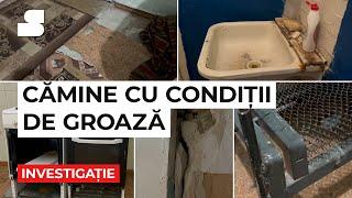 Cămine cu condiții de groază