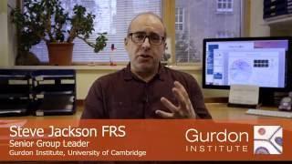 Gurdon Institute | Meet Steve Jackson