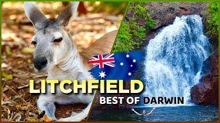 LITCHFIELD, AUSTRALIA: The MOST Beautiful NATURE in DARWIN & Territory Wildlife Park  in 4K