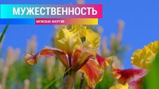 Мужская энергия. Мужественность. Уверенность. Саблиминал Combo. Скрытые аффирмации. (для мужчин)