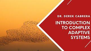 Dr. Derek Cabrera provides an introduction to complex adaptive systems (CAS) | Understanding CAS