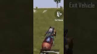 Pubgy by hours
