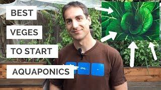 The Best Vegetables To Start Aquaponics