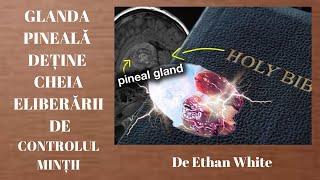 GLANDA PINEALĂ DEȚINE CHEIA ELIBERĂRII DE CONTROLUL MINȚII / De Ethan White 