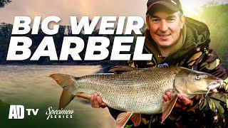 Big Weir Barbel - Specimen Series - Barbel Fishing