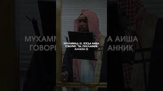 Греши сколько хочешь! #ислам #quran #вероубеждение #дунья #грехи #мудрость