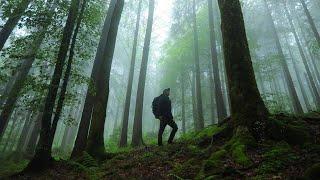 Hiking in Carpathian Mountains in Ukraine (Inspired by Kraig Adams).