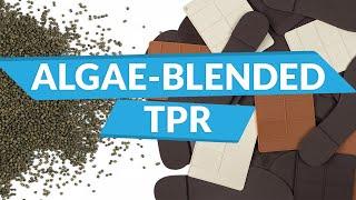 Sustainable Shoe Sole Options - Algae Blended TPR | The BLOOM Room | Episode 5