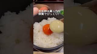 【喜三郎農場】日本中のブランド卵が食べ放題！？　#グルメ大学   #千石グルメ　#喜三郎農場