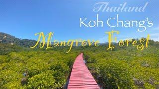 4K Mangrove Forest Koh Chang - Thailand 2020 | Travel Notes