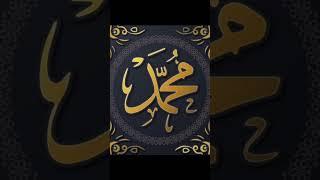 yaa nabi️ #allah #mohammad #love #islamicstatus #trending #subscribetomychannel #like #comment