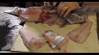 Learn how to fillet a catfish * Detailed Tips and Techniques.