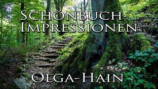 Schönbuch Impressionen: Olga-Hain