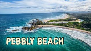 "BEST" Beach Camp In NSW, We Were Told... Pebbly Beach, Yuraygir National Park.