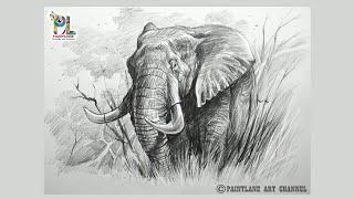 Pencil drawing elephant with easy pencil strokes step by step art || Animal art