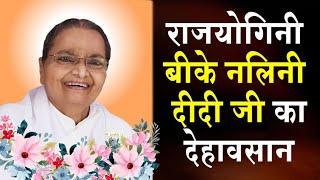 राजयोगिनी बीके नलिनी दीदी जी का देहावसान | Brahma Kumaris | Madhuban News | Top News | Mumbai News