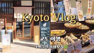 교토 여행 4박 5일 vlog  몰아보기편 교토 겨울 갬성 잇빠이!!!