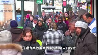 【天下新聞】紐約: 未來幾年人口將大幅下降 New York: The population will drop significantly in the next few years