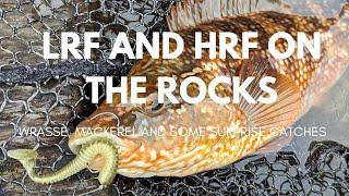 LRF And HRF on the Rocks - Wrasse, Mackerel and some surprise catches