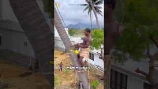 톱질 10번에 천만원 버는 직업