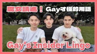 真實BL語言 你一定要知道的內行用語  The REAL BL Language: Insider Terms You Need to Know!