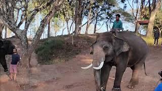 Coorg Ooty Kannur Tour | VLOG Teaser | Tushar Yelne Vlogs #vlog #coorg # ooty