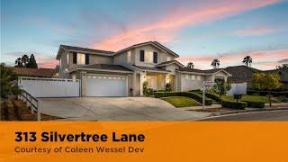 313 Silvertree Lane Redlands, CA 92374 | Coleen Wessel | Top Real Estate Agent